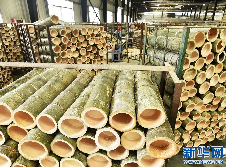 江西資溪:加快毛竹產(chǎn)業(yè)轉(zhuǎn)型升級(jí) 推動(dòng)竹產(chǎn)業(yè)高質(zhì)量發(fā)展